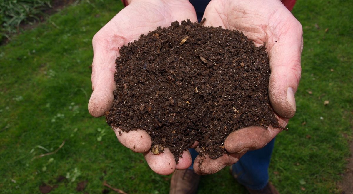 Composting at Home: Key Benefits and Beginner’s Guide